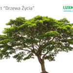 Jak dbać o siebie i o naturę?