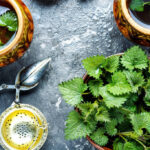 Pokrzywa zwyczajna – wartości i zastosowanie lecznicze! 