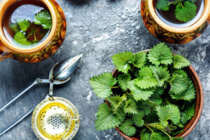 Pokrzywa zwyczajna – wartości i zastosowanie lecznicze! 