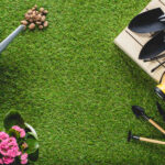 Jak prawidłowo dbać o trawnik?