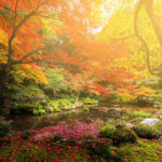 Jakie prace należy wykonać w ogrodzie jesienią?